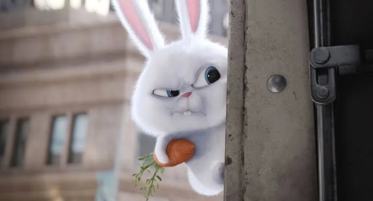 Televizyonda Bu Akşam: Evcil Hayvanların Gizli Yaşamı